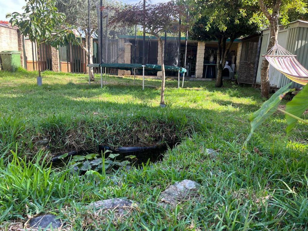 La Casa De Las Ranas Пойо Экстерьер фото