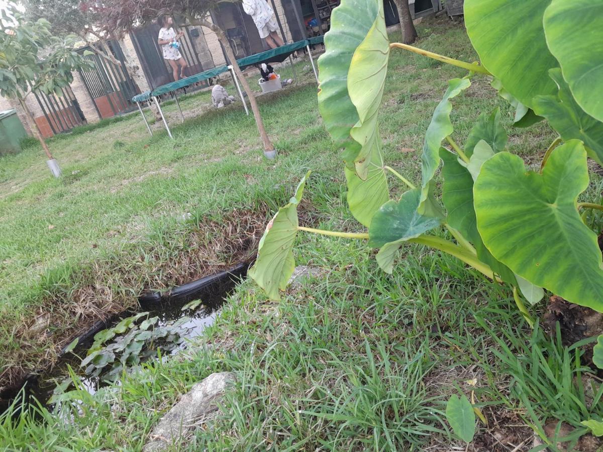 La Casa De Las Ranas Пойо Экстерьер фото